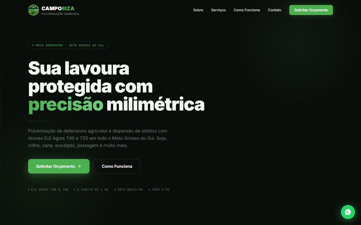 Screenshot do site Camporiza