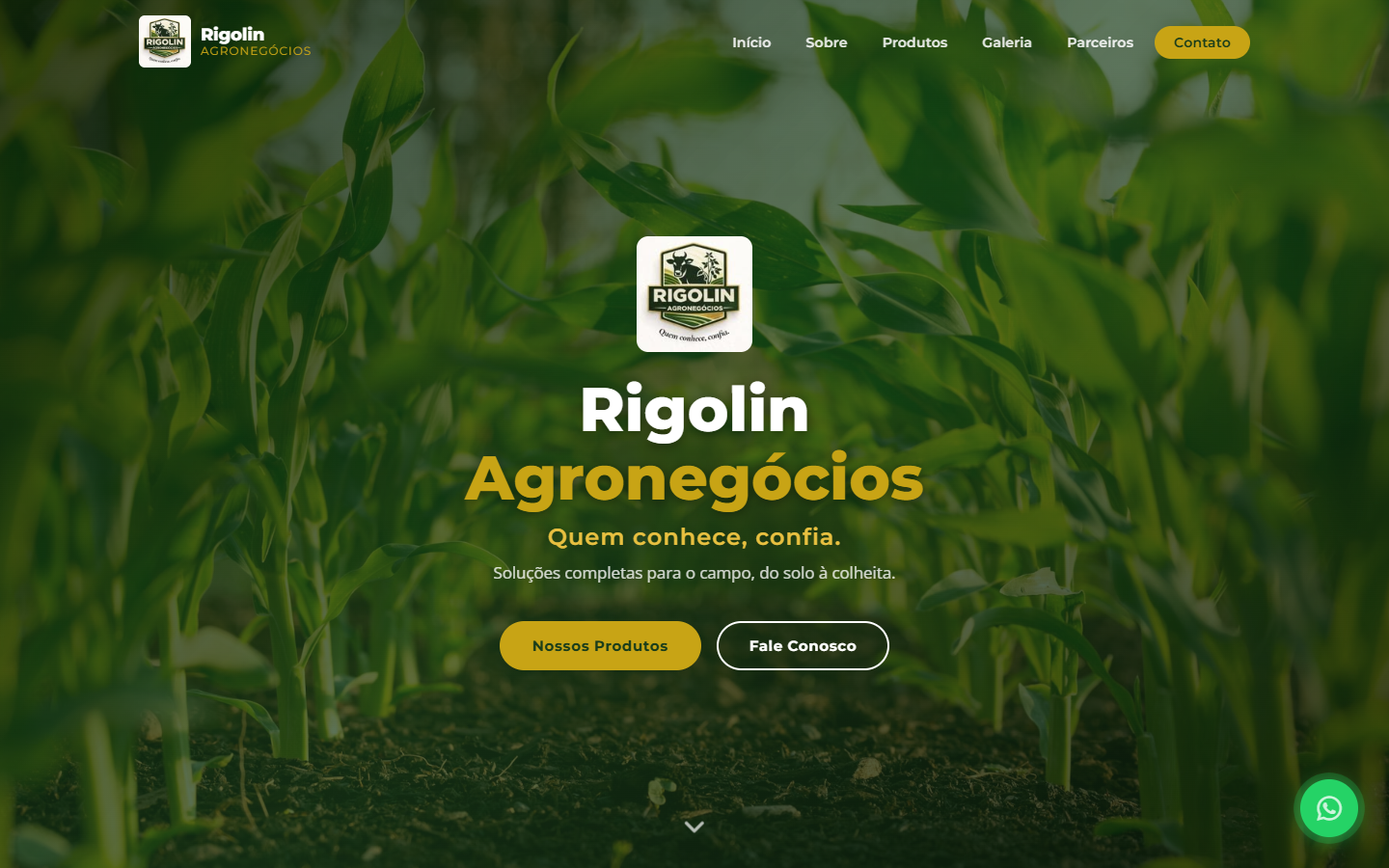 Screenshot do site Rigolin Agronegócios